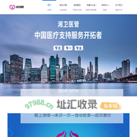 专业的临床支持服务机构——湘卫医管