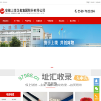 采样管线_伴热采样管线_伴热电缆厂家安徽上缆仪表集团股份有限公司