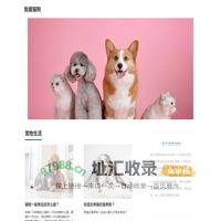 我爱猫狗