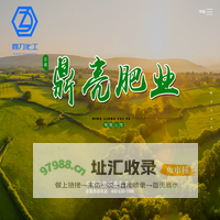 水溶肥生产厂家-提供硝酸铵钙,矿源黄腐酸钾定制与批发-山西鼎力化工股份有限公司