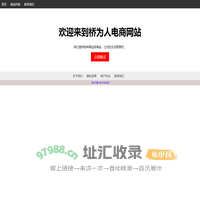 电商网站