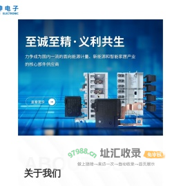 长沙中坤电子科技有限责任公司_磁保持继电器_铜端子_新项目_新能源