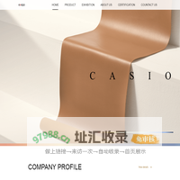 Casiotech