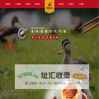 福建鸭嫂食品有限公司