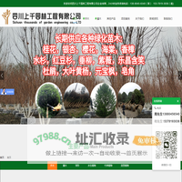 四川上千园林，西南苗木批发大型基地,品种齐全,采购批发，价格便宜，欢迎咨询。-上千园林