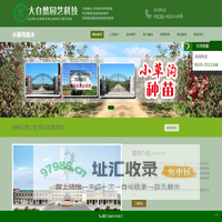 小草沟苹果苗_矮化苹果苗_优质脱毒苹果苗木_小草沟苹果苗_莱州大自然园艺有限公司