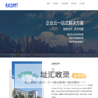 瑞达云迅 Raisnet