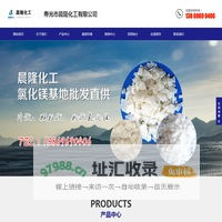 氯化镁-粉状|片状氯化镁厂家-山东潍坊寿光市晨隆化工有限公司