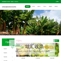 元阳县众诚农业农民专业合作社