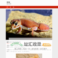 瘤尾守宫-怎么养-吃什么-繁殖-疾病防治-奇珍馆