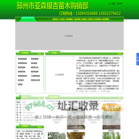 银杏苗木_银杏苗木价格_银杏苗_银杏树苗_邳州市亚森银杏苗木购销部_http://www.yxm1.com