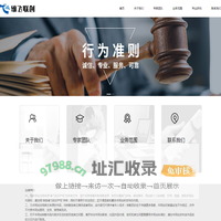 北京维飞联创知识产权代理有限公司