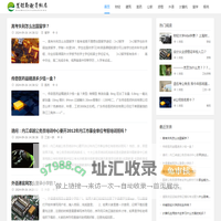 道谋职业导师库 - 道谋职业