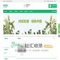 陈放放-陈放放