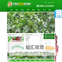 樱桃树苗_山东樱桃树苗木基地