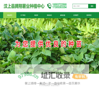 汶上县腾翔薯业种植中心