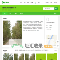 山东好苗源银杏销售中心_山东银杏_苗青青_青青花木网