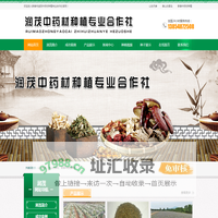 新泰市润茂中药材种植专业合作社-山东丹参,白花丹参