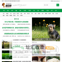野生菌之家_菌贝网_蘑菇,食用菌,提供菌类的价格功效等知识