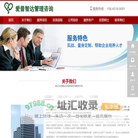 爱普智达管理咨询有限公司