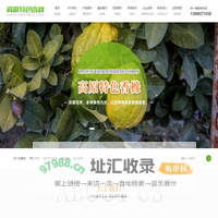 高原特色香橼_弥渡合橼特色香橼_特色香橼销售_泰山合香橼-脆皮香橼