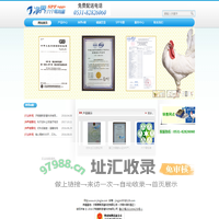 净界六个零鸡蛋|SPF鸡蛋|SPF级鸡蛋|净界官方网站