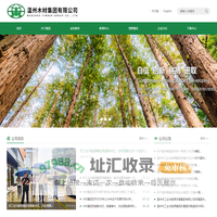 温州木材集团有限公司