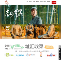极致匠心栏目官方网站