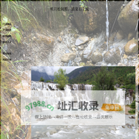 明月松间照，清泉石上流