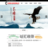河南钢之信商贸有限公司