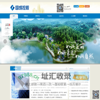 国成控股，陕西国成，陕西国成投资控股有限公司-陕西国成投资控股有限公司
