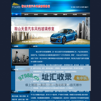 首页|汽车玻璃修复/鞍山天意汽车玻璃修复工具/汽车玻璃修补工具/