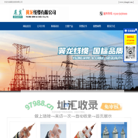 翼龙线缆有限公司