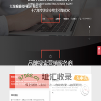 蝙蝠侠IT - 品牌搜索营销，十六年专注企业搜索引擎优化