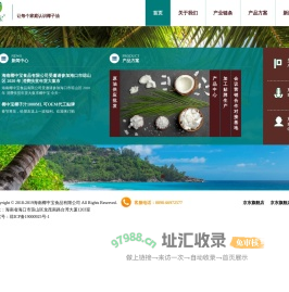 海南椰中宝食品有限公司
