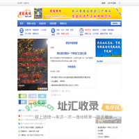 黄陂热线-黄陂论坛 武汉黄陂区综合性门户网站