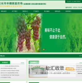 水稻-天长市丰穗家庭农场