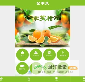 洪江市太平柑桔专业合作社_全家笑柑桔|洪江市柑桔|洪江市冰糖橙|纽荷尔脐橙