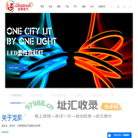 皮线灯_LED造型灯_LED图案灯_LED装饰灯厂家-中山市龙舜电气科技有限公司