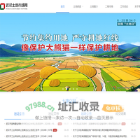 武汉土地市场网