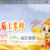 河南宝景农业科技有限公司,河南种业,玉米高产品种,高产玉米种子,伟育2号
