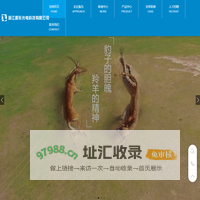 浙江振东光电科技有限公司