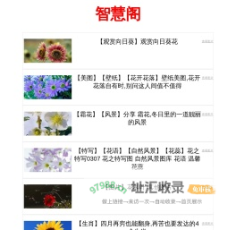 智慧阁 - 汇聚智慧的知识宝库