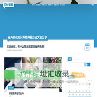- 茶树菊网
