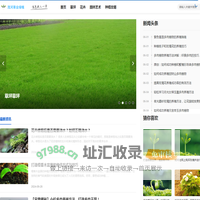 茂河草业绿植
