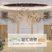 中星健康科技集团