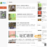 青辰观赏龟 - 青辰观赏龟
