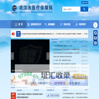 武汉市医疗保障局