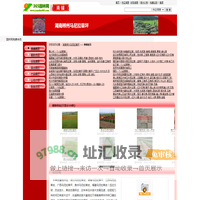 湖南郴州马尼拉草坪