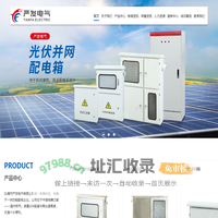 乐清市严发电气有限公司